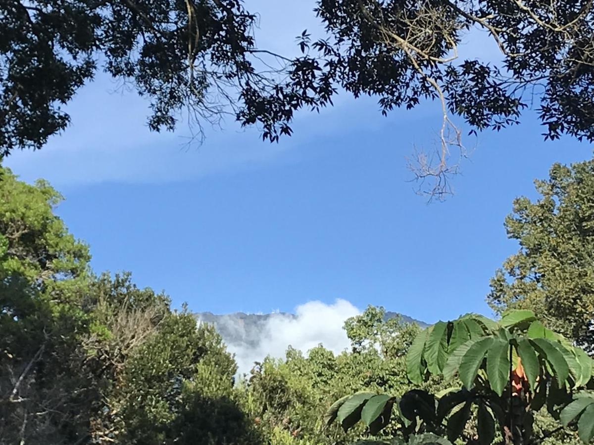Casitas Vista Verde Bajo Boquete Eksteriør billede