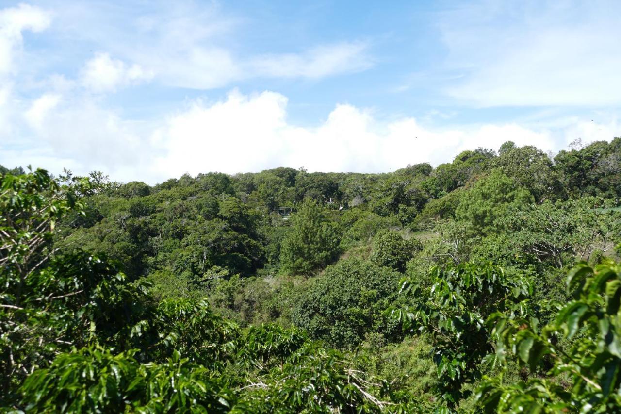Casitas Vista Verde Bajo Boquete Eksteriør billede