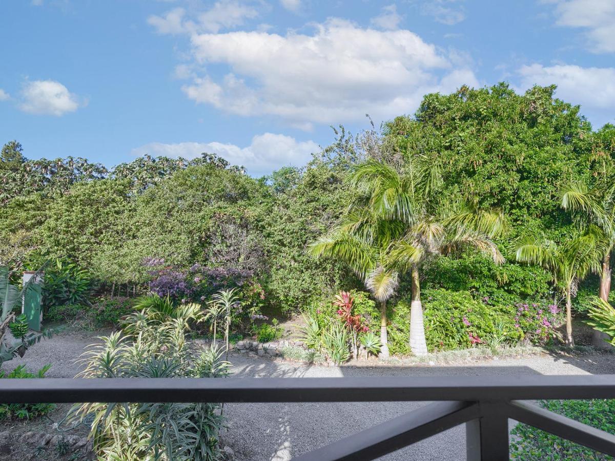 Casitas Vista Verde Bajo Boquete Eksteriør billede