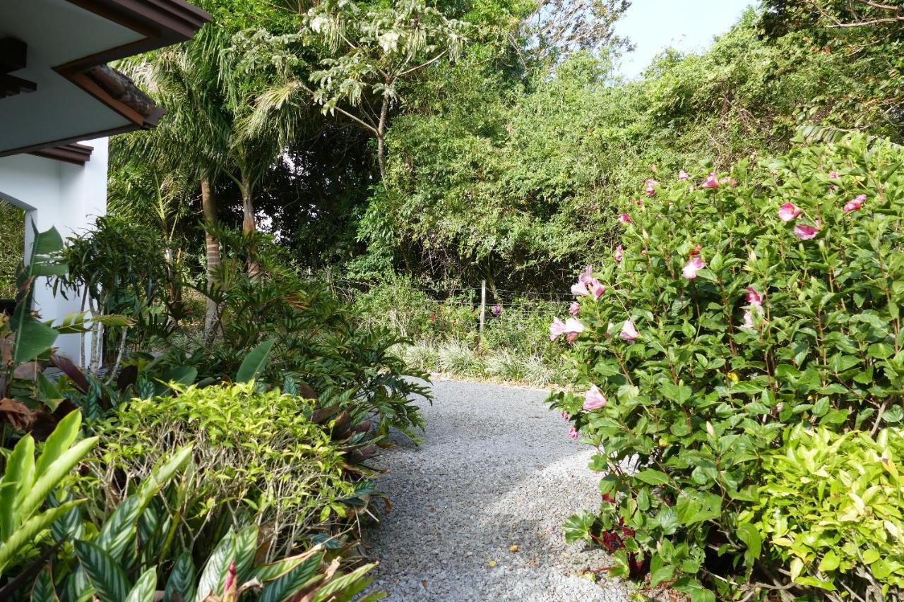 Casitas Vista Verde Bajo Boquete Eksteriør billede
