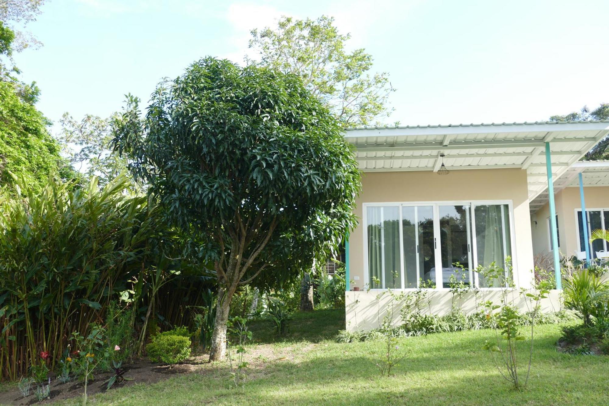 Casitas Vista Verde Bajo Boquete Eksteriør billede